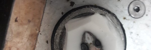DrSalinasLab Profile Banner