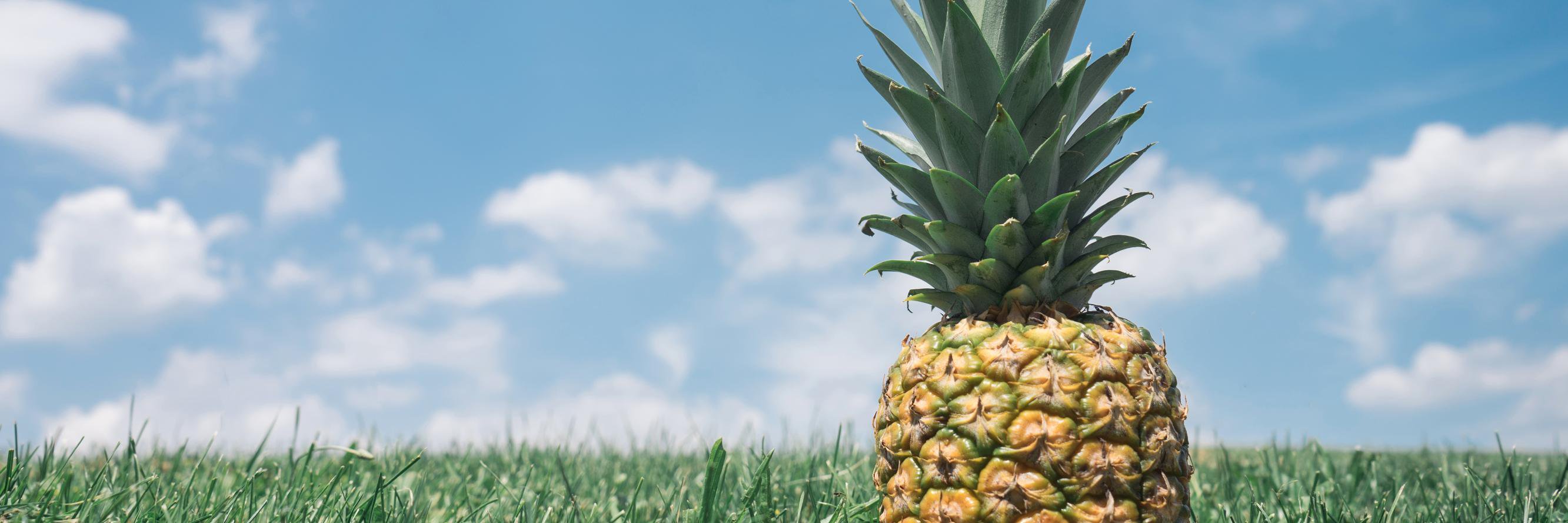 emboro's profile banner image