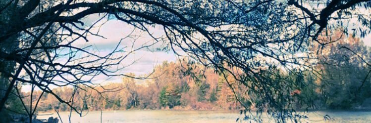 MollardSusan's profile banner image