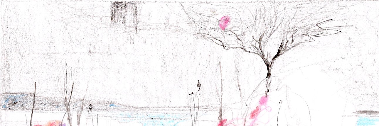 silvana_bruni's profile banner image