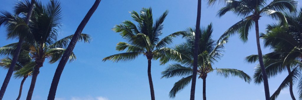 allyspangler's profile banner image