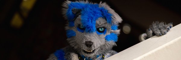 Furball_Dakoru Profile Banner