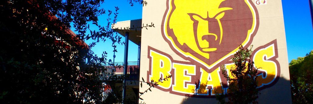 M-A Chronicle banner