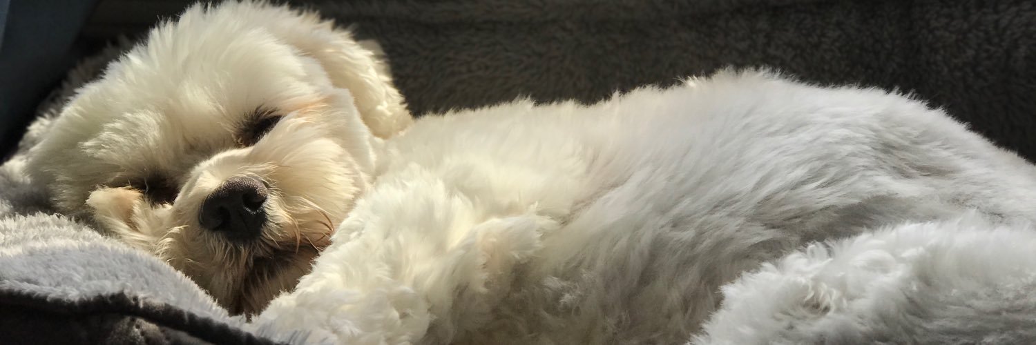 saylorjr's profile banner image