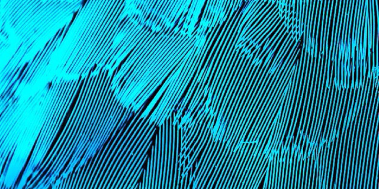jonathanperbadi's profile banner image