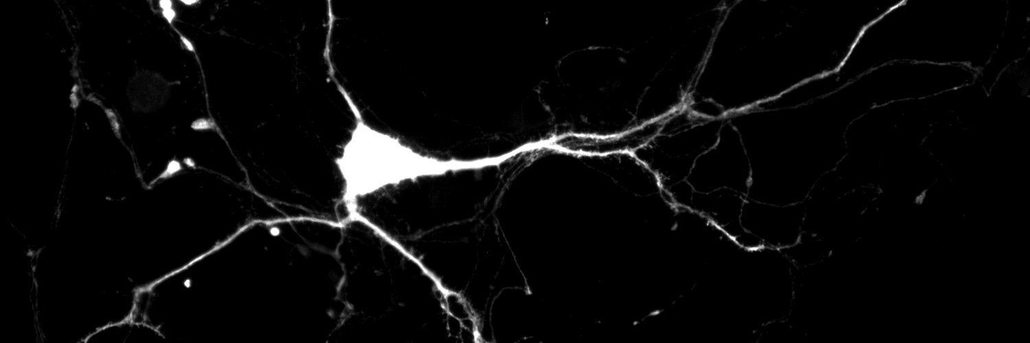 Doug Miller 🔬⚡ banner