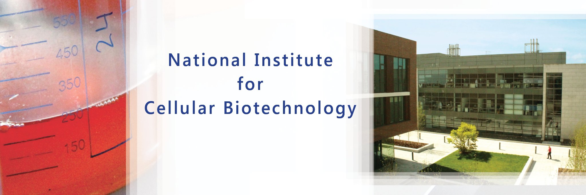 Donal O'Gorman banner