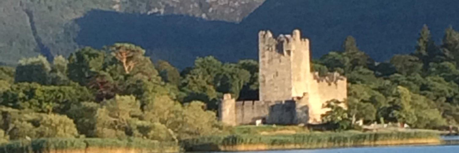 Sean O'Driscoll banner