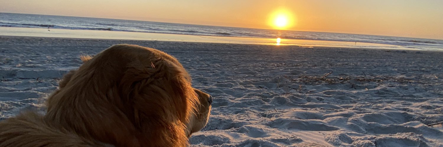 McKenzieWilson_'s profile banner image