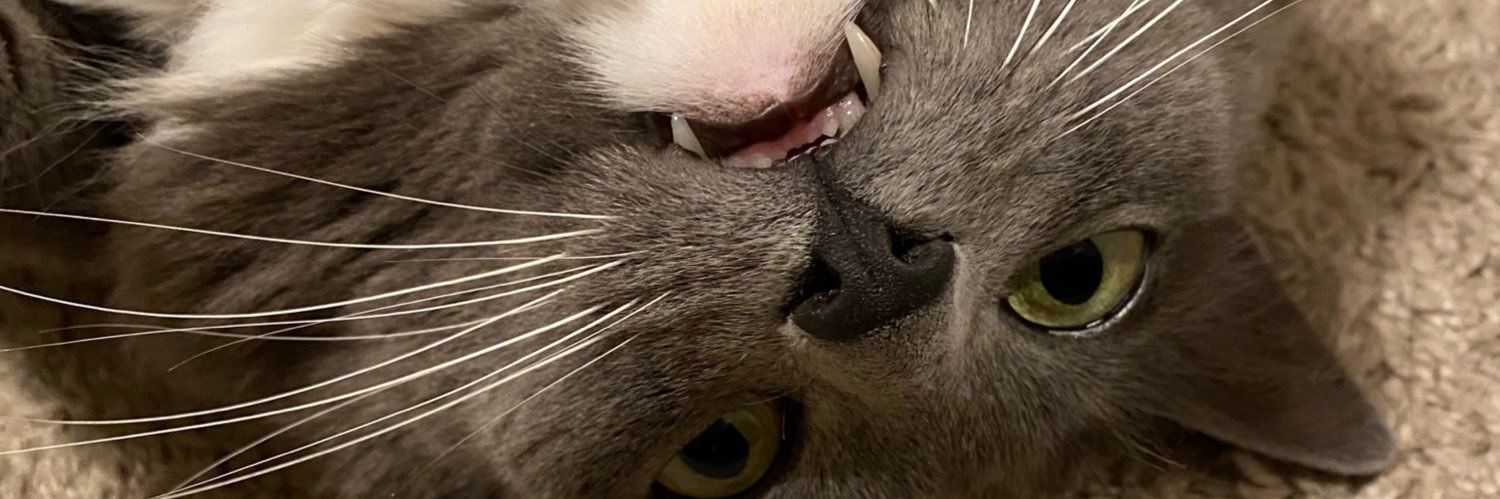 jasonpbui's profile banner image