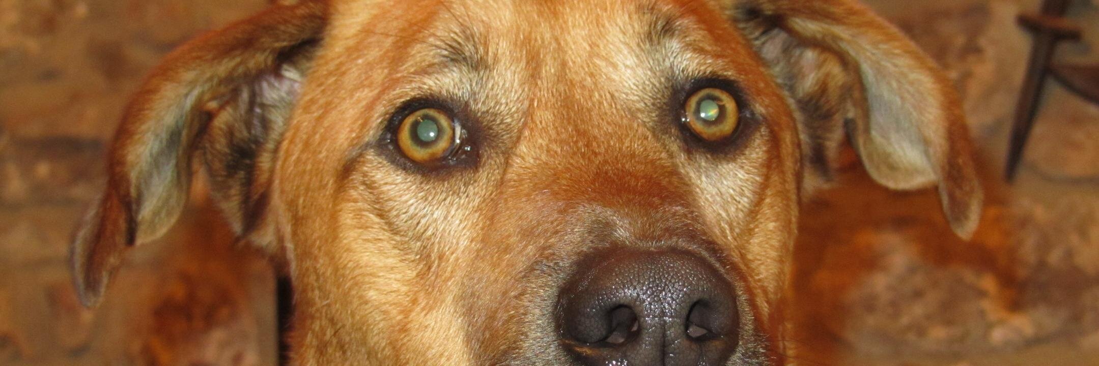 laluisfa's profile banner image