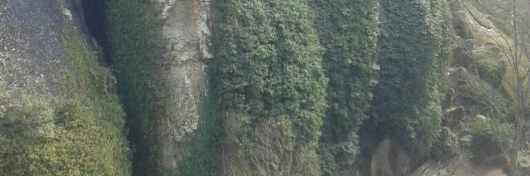 hakanakka2's profile banner image