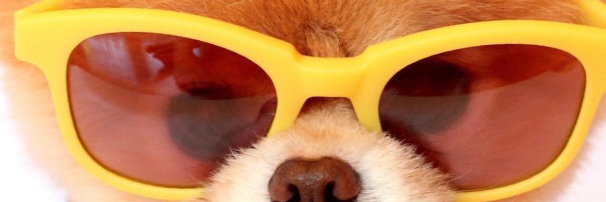 ALINEBLS's profile banner image