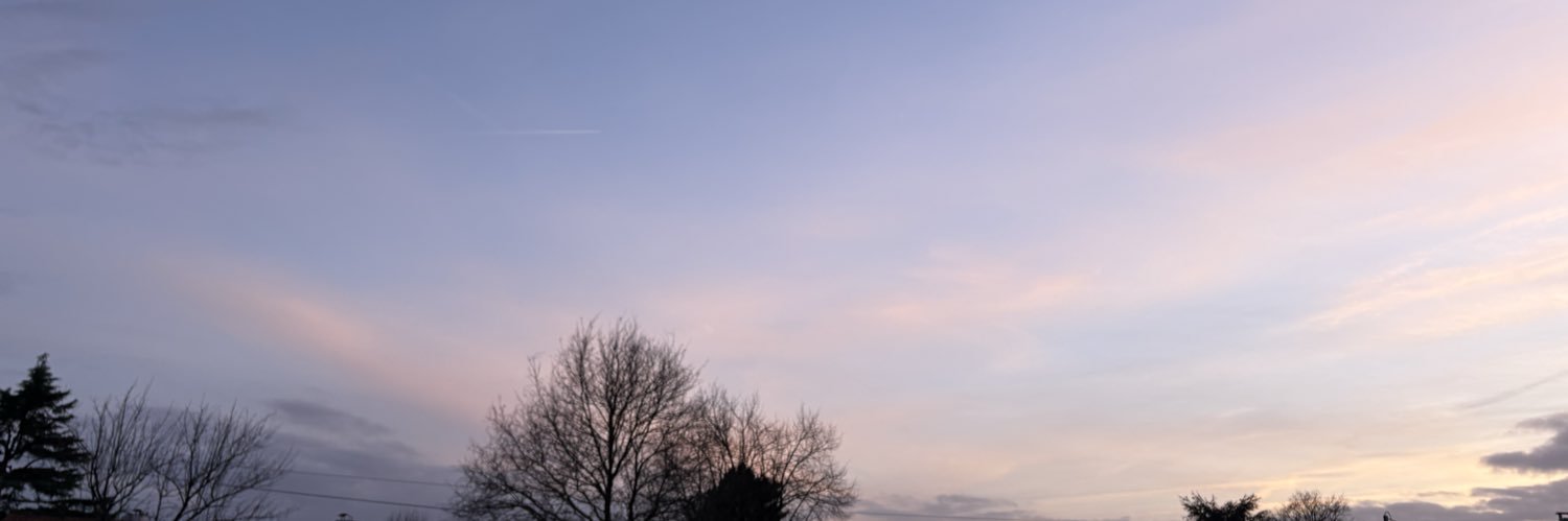 ℓy. ❁ banner