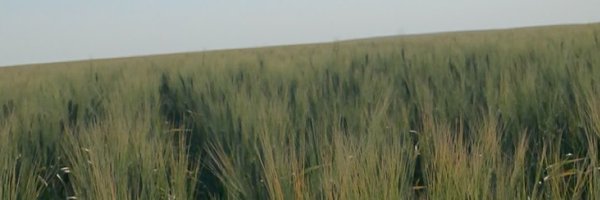 GyugCarl Profile Banner