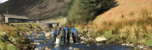 IFMFish Profile Banner