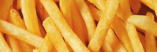 tamara h. zhafirah banner