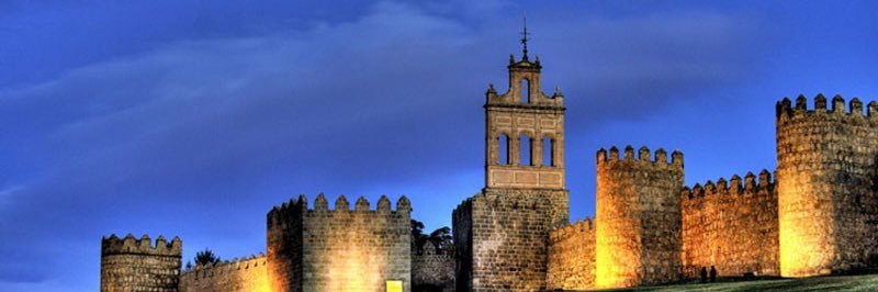 Teo banner