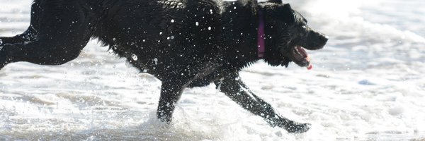 ShaneCreative Profile Banner