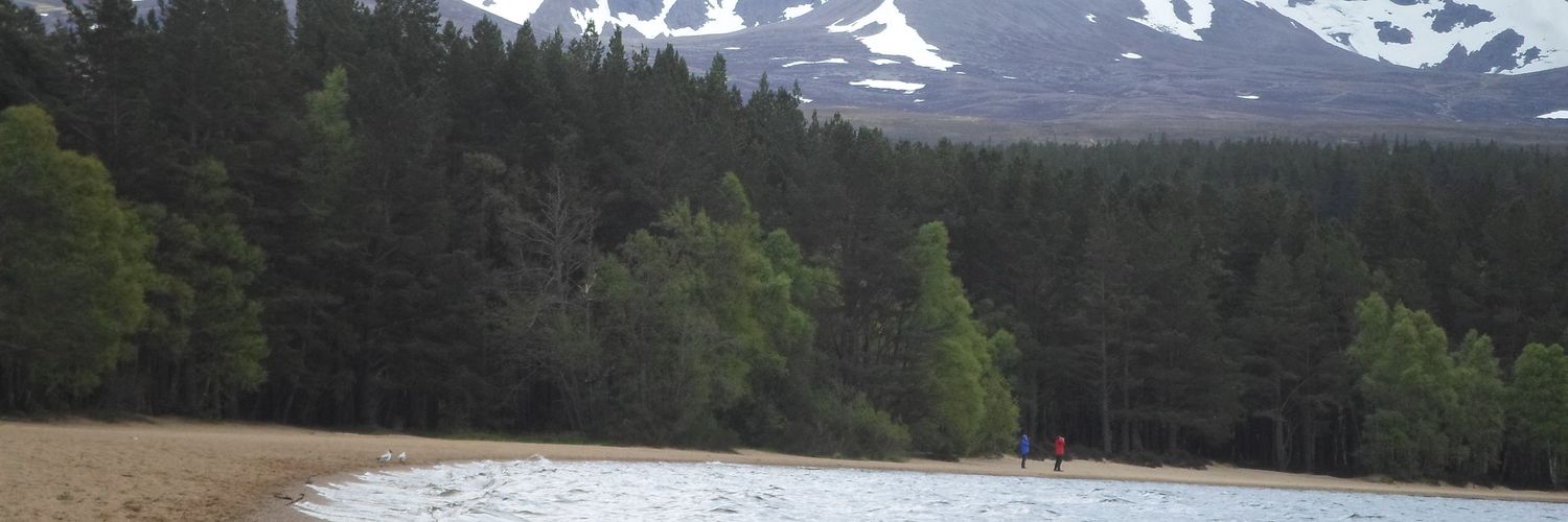 Nico Rodríguez Moré banner