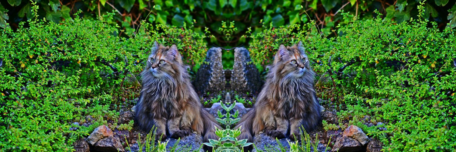 ℰlena ℋernández banner