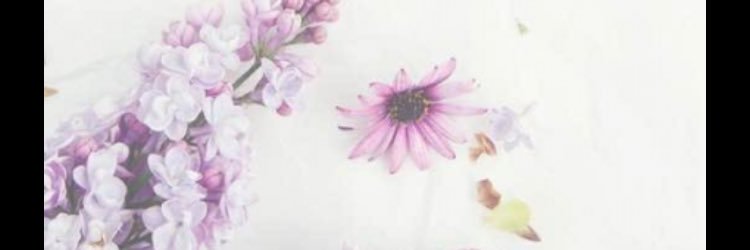 manalo0's profile banner image