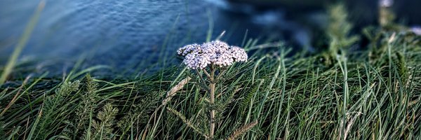 TimothyEagan Profile Banner