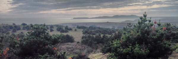 edward Profile Banner