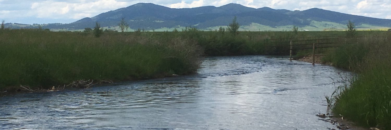 Gerry Scheetz banner