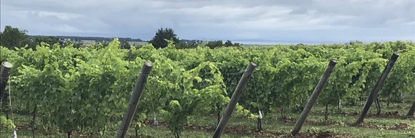 MeaganMorris2 Profile Banner