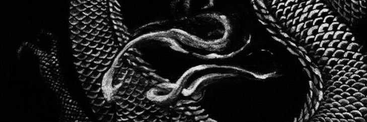 Maximus. banner