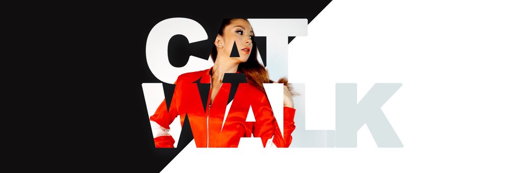 DJ Catwalk banner