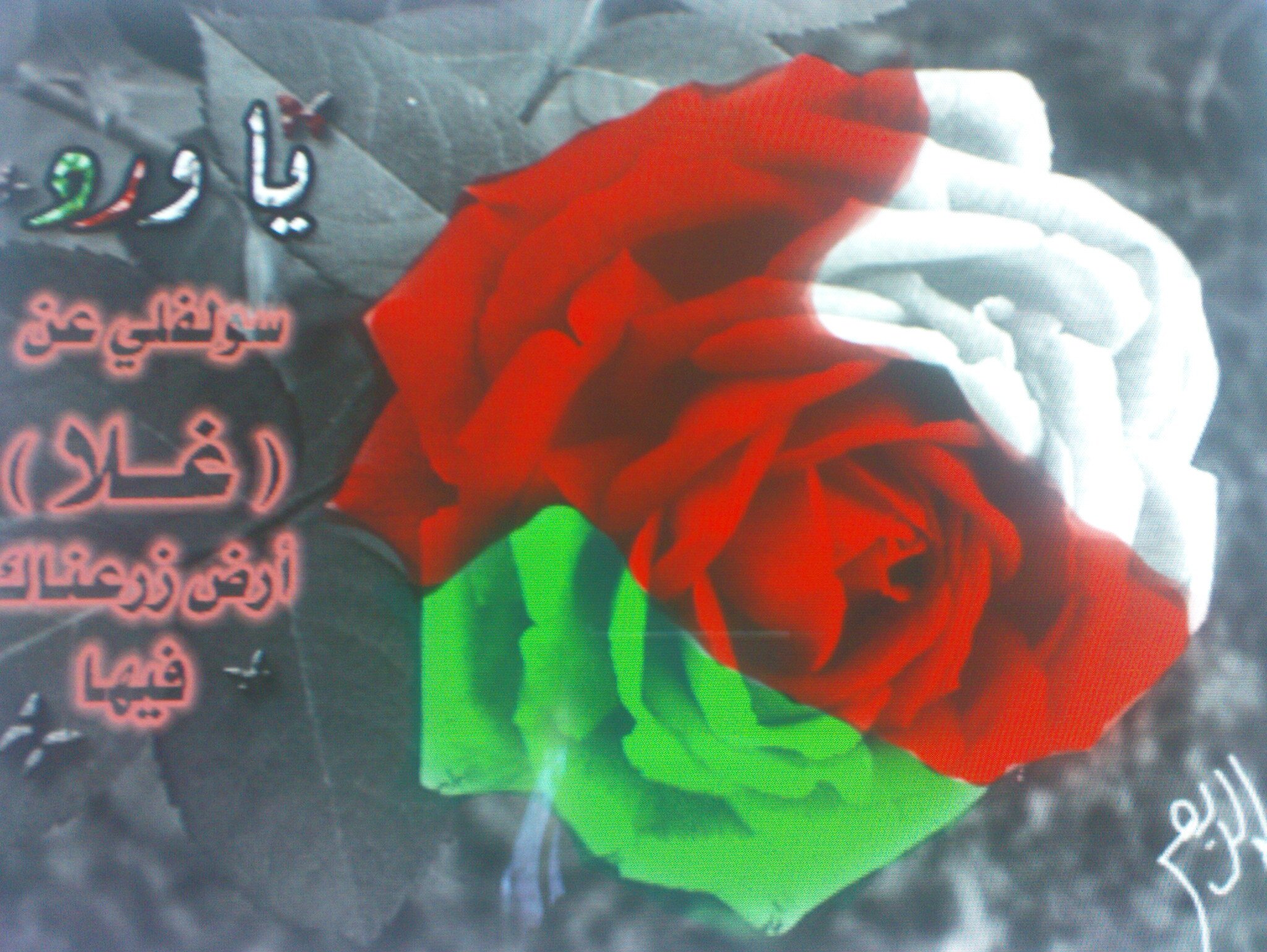 amam9299's profile banner image