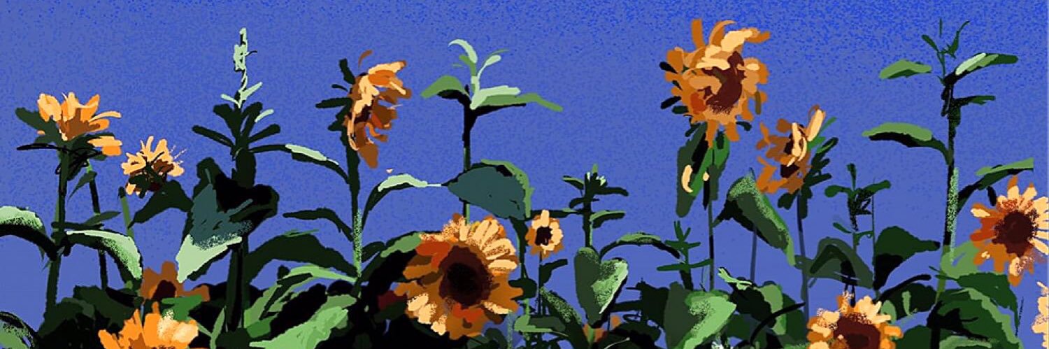 RocioMatilla29's profile banner image
