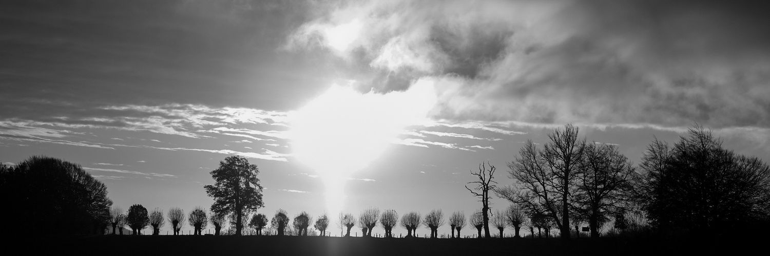 sari_fdez's profile banner image