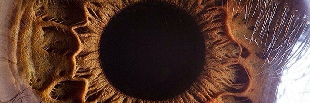 alquevaster's profile banner image