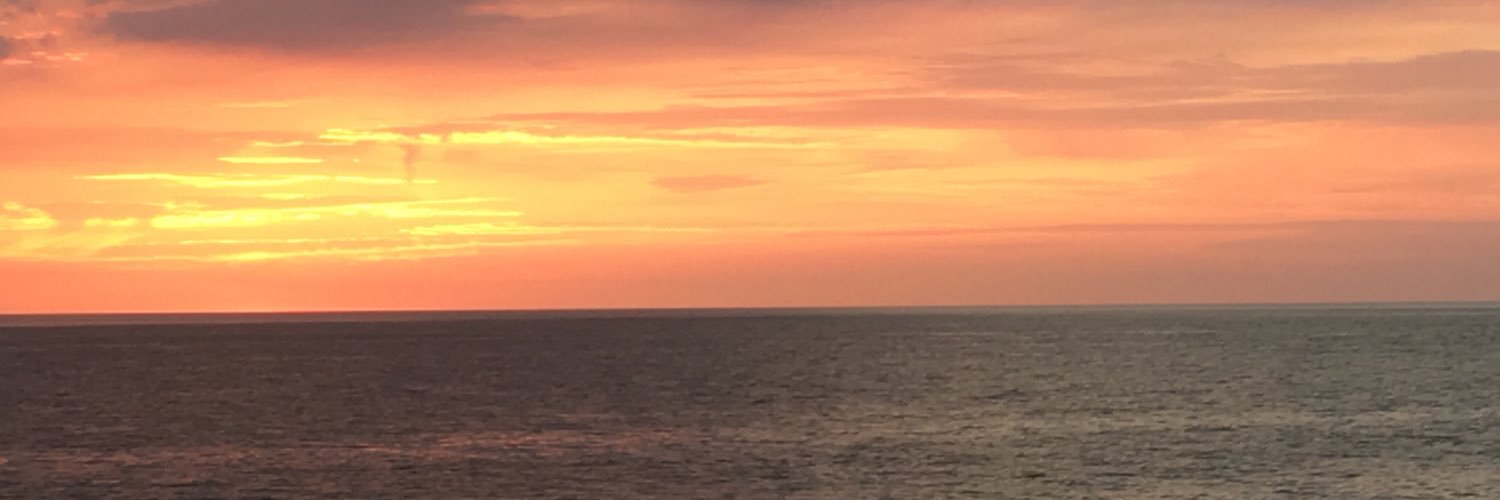 mnetishen's profile banner image