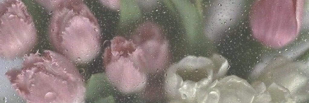 hanprenticex's profile banner image