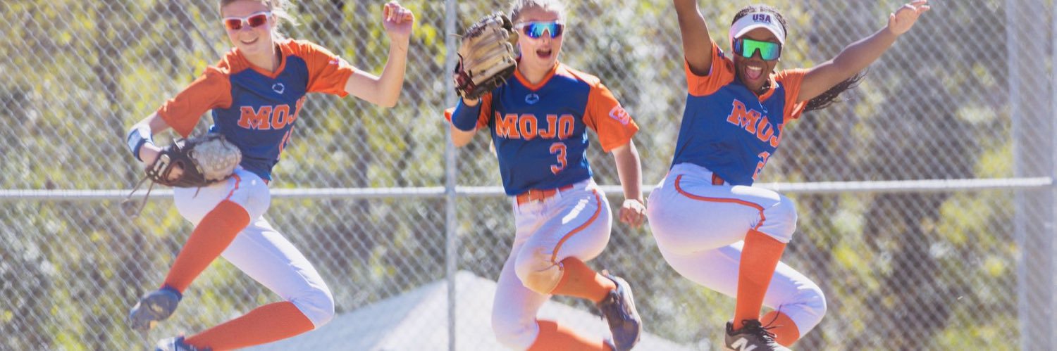 Softball Dad banner