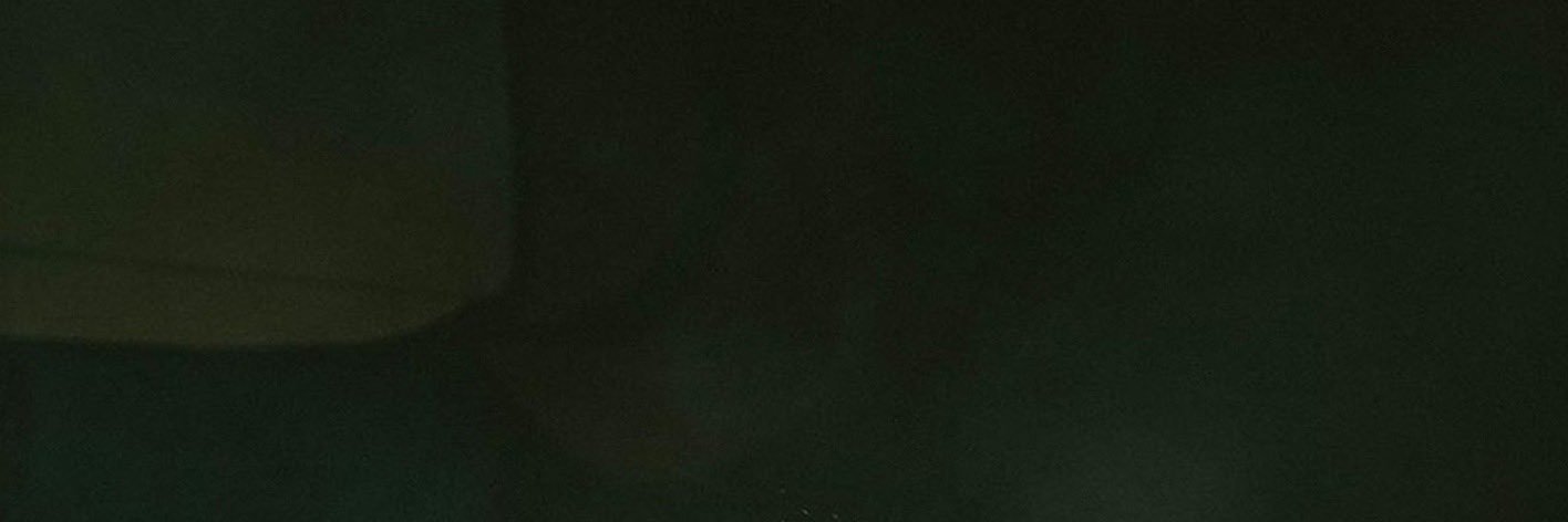 revolaes's profile banner image