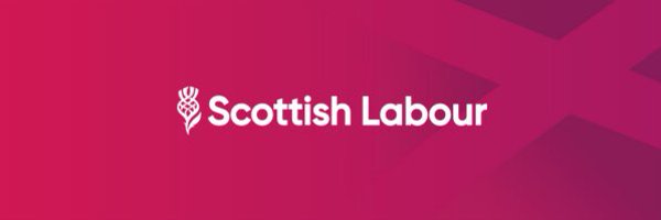 cllrdgibson Profile Banner