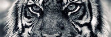 ClareB_'s profile banner image