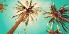loesroben's profile banner image