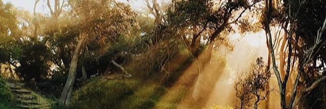 Dockizi's profile banner image