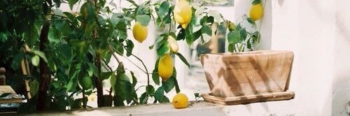 ne___mui's profile banner image