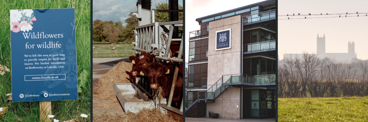 University of Lincoln Estates banner