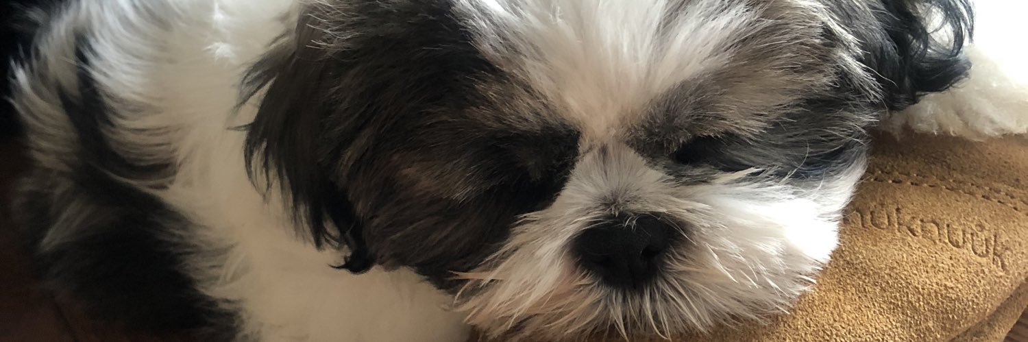 LexIx23's profile banner image