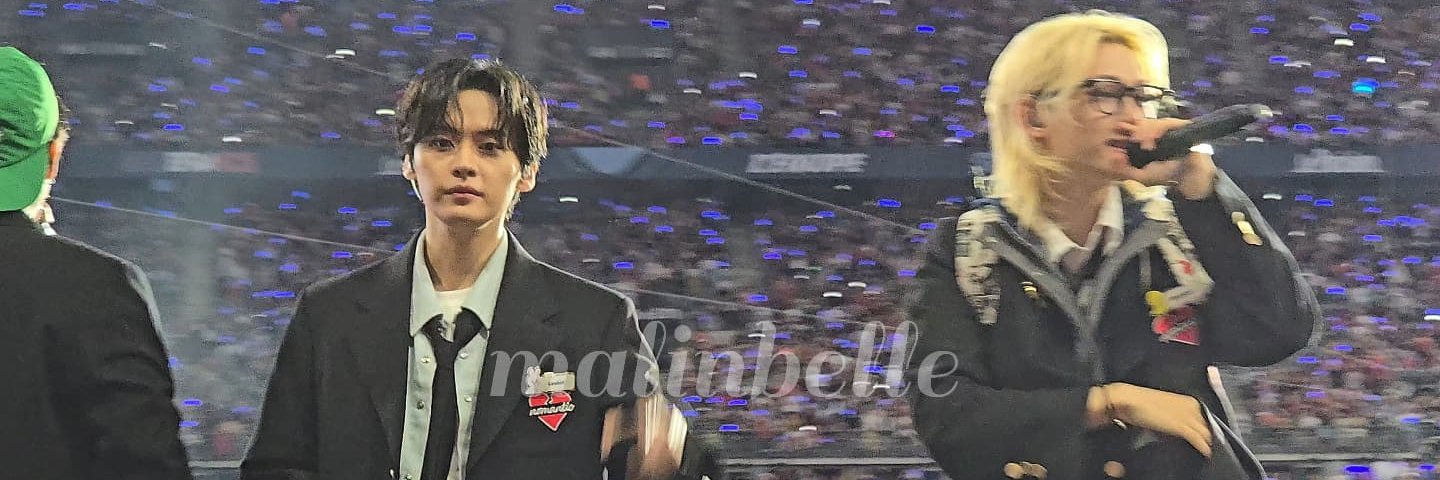 Malin ₊𓇼⁺⋆ banner