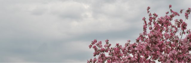 MORLEYREYES's profile banner image