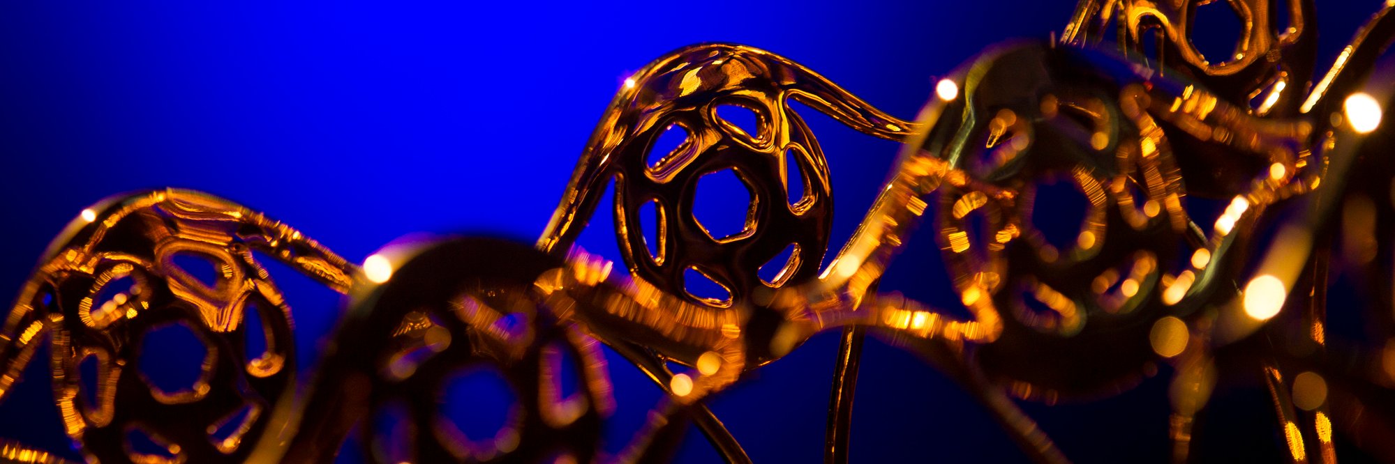 PremiosIris banner
